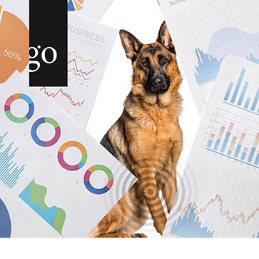 Journal Club Osteoarthrose 2025