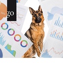 Journal Club Osteoarthrose 2025