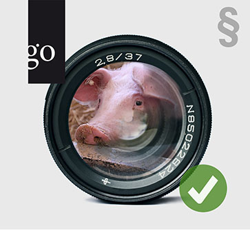 Bilddokumentation von Tierschutzfällen