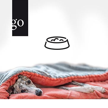 Der festliegende Patient