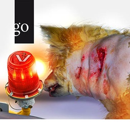 Fit für den Notdienst: Bissverletzungen und Wunden in der Kleintierpraxis