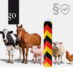 Veterinärbescheinigungen für den Export