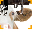 Tierschutz bei der Schlachtung: Betäubung und Entblutung im Fokus