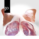 Diagnostik im Schweinebestand – Fokus Respirationsapparat