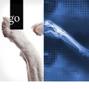 Die Bildwelt des digitalen Röntgens in der tierärztlichen Praxis