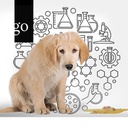 Labordiagnostik: Spurensuche beim Hund Leitsymptom Erbrechen 