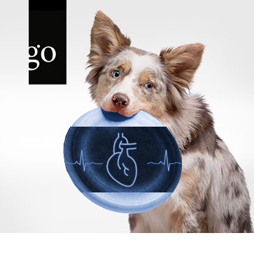 Der Hund mit Herzinsuffizienz – das richtige „Rezept“ für Ihr Patientenmanagement