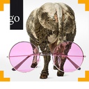 Tierschutz im Stall – haben Tierärzte die rosarote Brille auf?