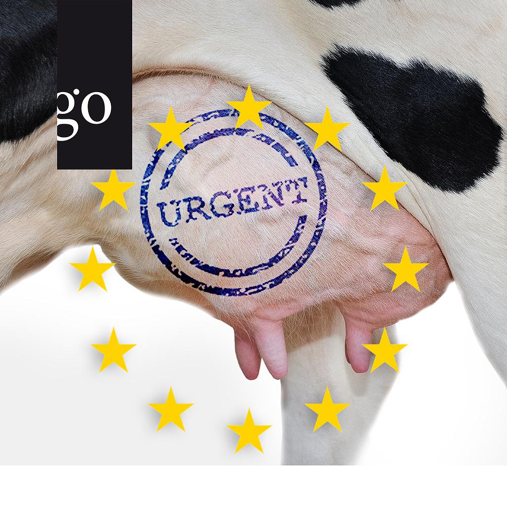  TAMG 2023: Änderung und Umsetzung in der Rinderpraxis