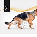 Genau hingeschaut! Lahmheitsdiagnostik beim Hund