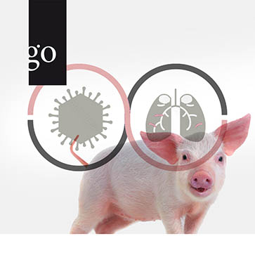 PRDC: Der Porcine Respiratory Disease Complex