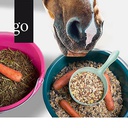 Dick oder fit? Faktencheck Pferdefütterung