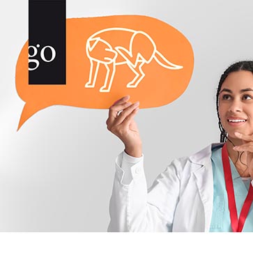 Juckreiz, Geduld und gute Worte – Hautpatienten in der Kleintierpraxis begleiten