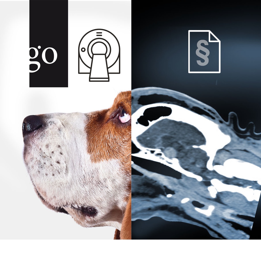 Spezialkurs zum Online-Erwerb der CT-Fachkunde