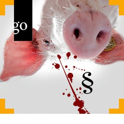 Tierschutz im Schlachtbetrieb: Unternehmerverantwortung vom Abladen über Betäubung und Entblutung