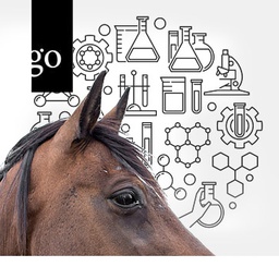 Labordiagnostik: Spurensuche  beim Pferd
