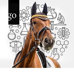 Labordiagnostik: Spurensuche  beim Pferd Fokus Leistungsinsuffizienz