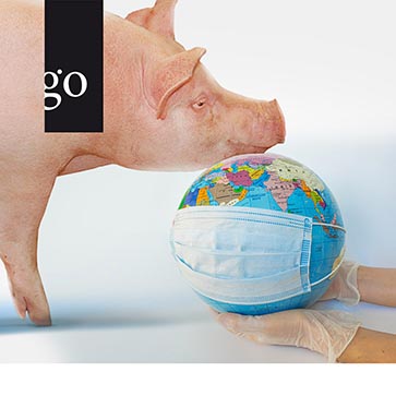 Fortbildung für  Tierärzt:innen und TFA  | One Health: Schweinegesundheit als globale Herausforderung 