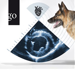 Praktische Echokardiografie beim Hund