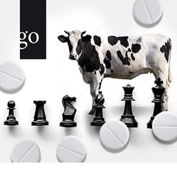NSAID-Schach für das gepeinigte Rind