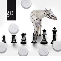 NSAID-Schach für das gepeinigte Pferd
