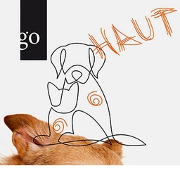 Katze trifft Hund: Allergien verstehen und diagnostizieren