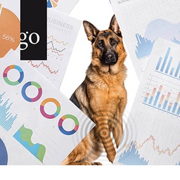 Journal Club Osteoarthrose 2025