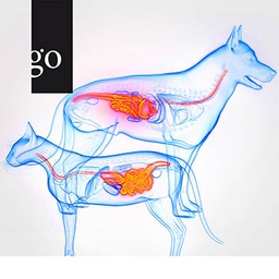 Gastroenterologie in der Kleintierpraxis: Komplexe Fälle verstehen und behandeln