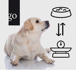 Vorsicht Übergewicht!