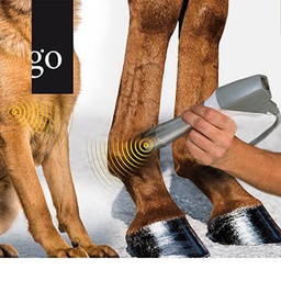 Moderne Stoßwellentherapie für Pferd,Hund und Katze