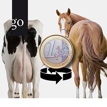 Die wirtschaftlich gesunde Großtierpraxis