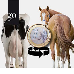 Die wirtschaftlich gesunde Großtierpraxis