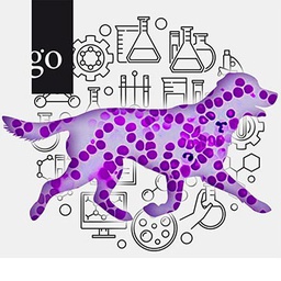 Digitale Konferenz: Hämatologie in der Kleintier-Diagnostik