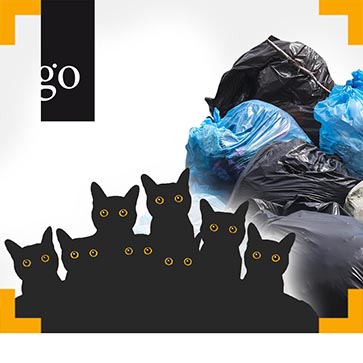 Animal Hoarding