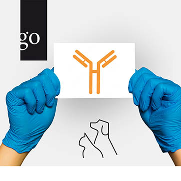 Monoklonale Antikörper als innovative Therapieoption