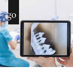 Dentalröntgen bei Hund und Katze