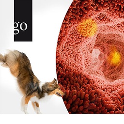 Gastro-Update Hund