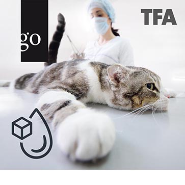Diabetes mellitus & Anästhesie – Wissen für TFA