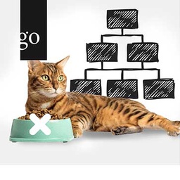 Leitsymptom: Die Katze frisst nicht